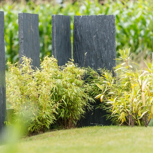 service-plantation
