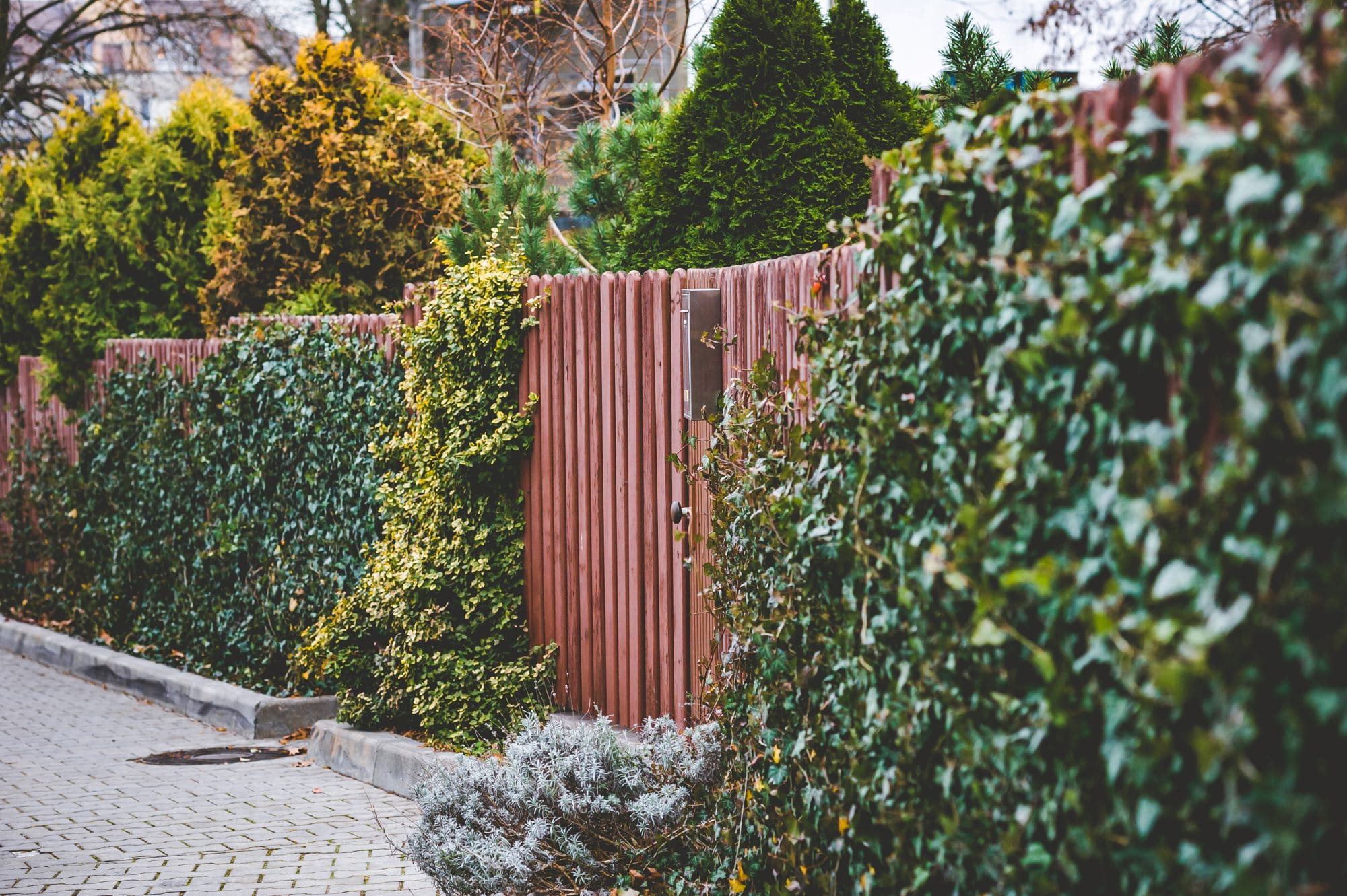 paysagiste_nantes_sensojardins_murs